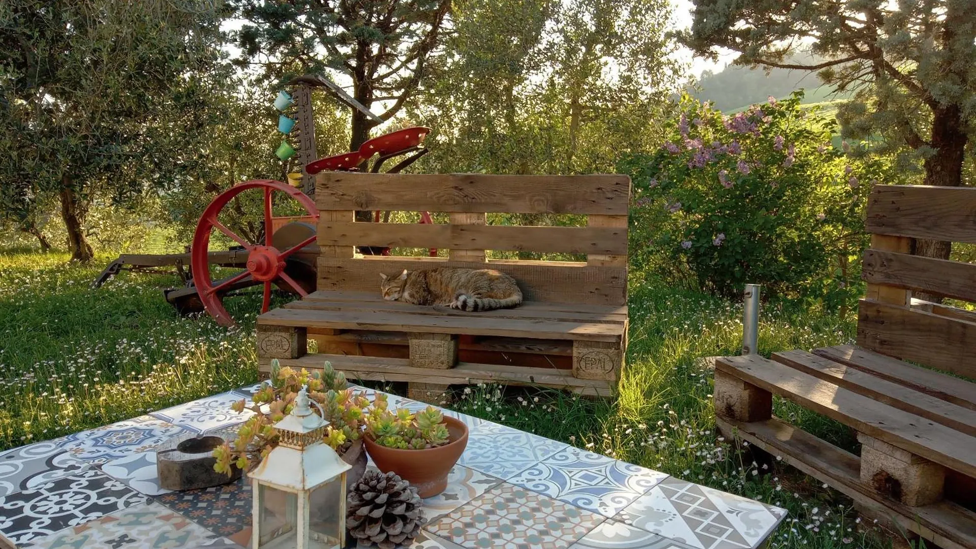 Farm stay Agriturismo Santa Bruna Volterra